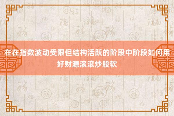 在在指数波动受限但结构活跃的阶段中阶段如何用好财源滚滚炒股软