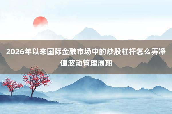 2026年以来国际金融市场中的炒股杠杆怎么弄净值波动管理周期