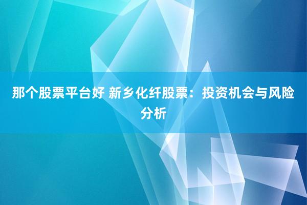 那个股票平台好 新乡化纤股票：投资机会与风险分析