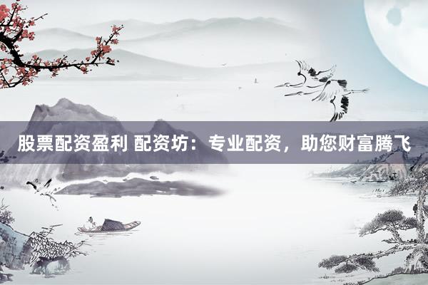 股票配资盈利 配资坊：专业配资，助您财富腾飞